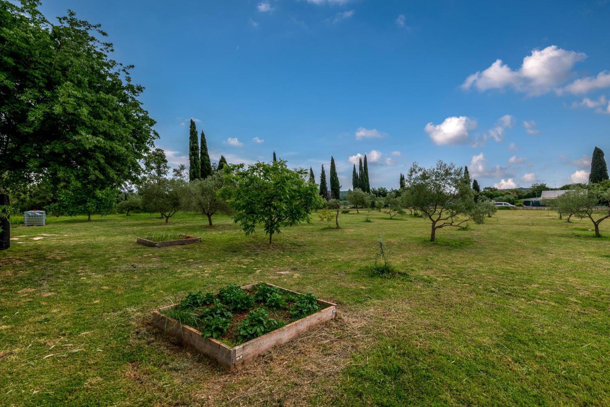 With A Parking Space - 22740 Apartment Rovinj
